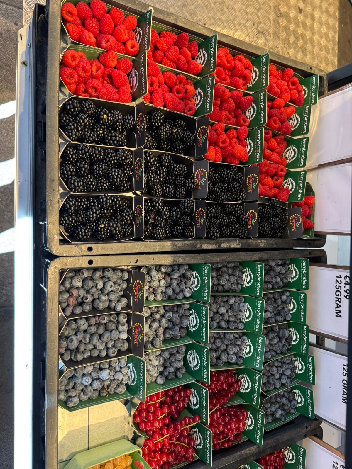 Frambozen, bramen, blauwe bessen en rode bessen